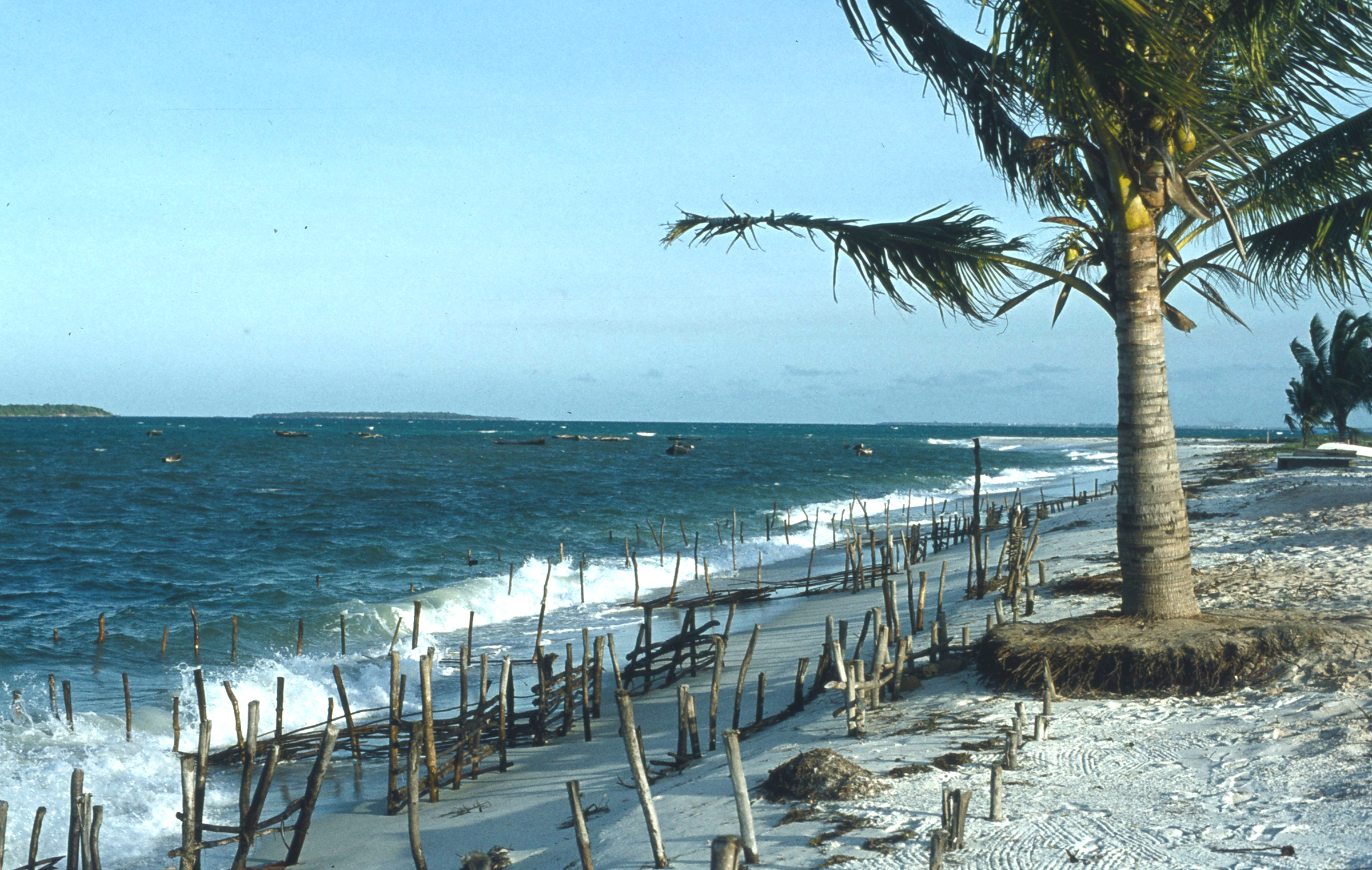 Socialist Beach Resort